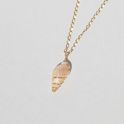 Dainty Seashell Necklace