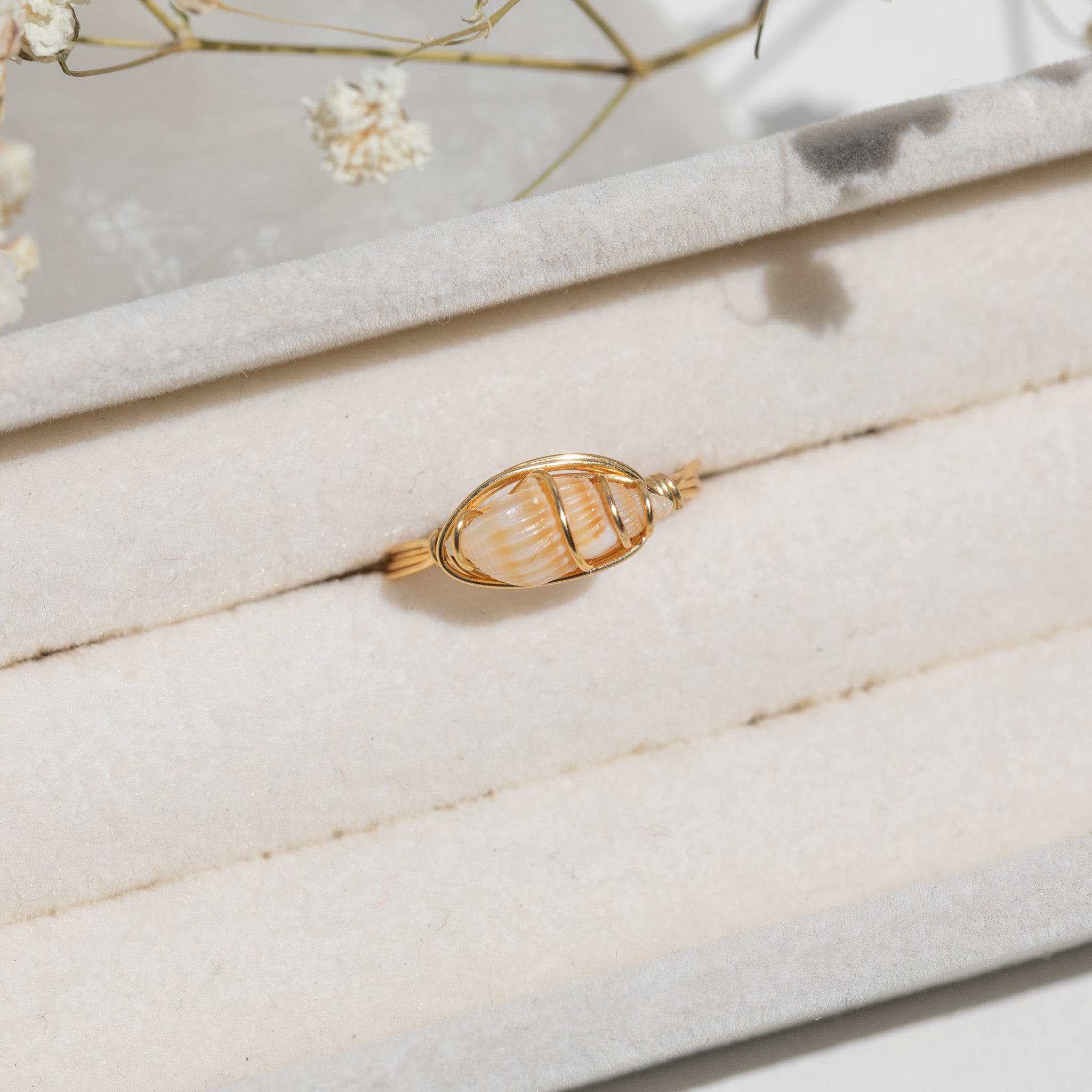 Studio Rings Sea Shell Dainty Seashell Ring – MonJude Studio