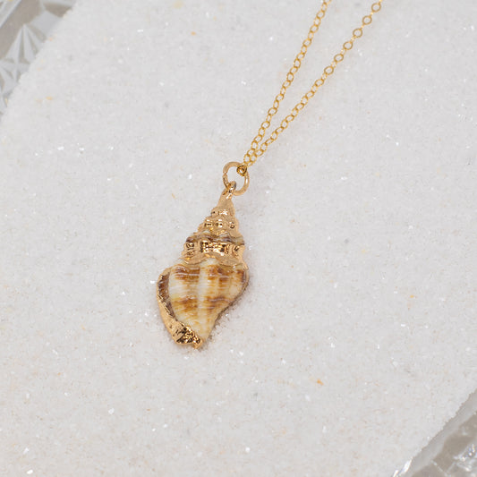 Conch Shell Necklace (14k Gold Filled)